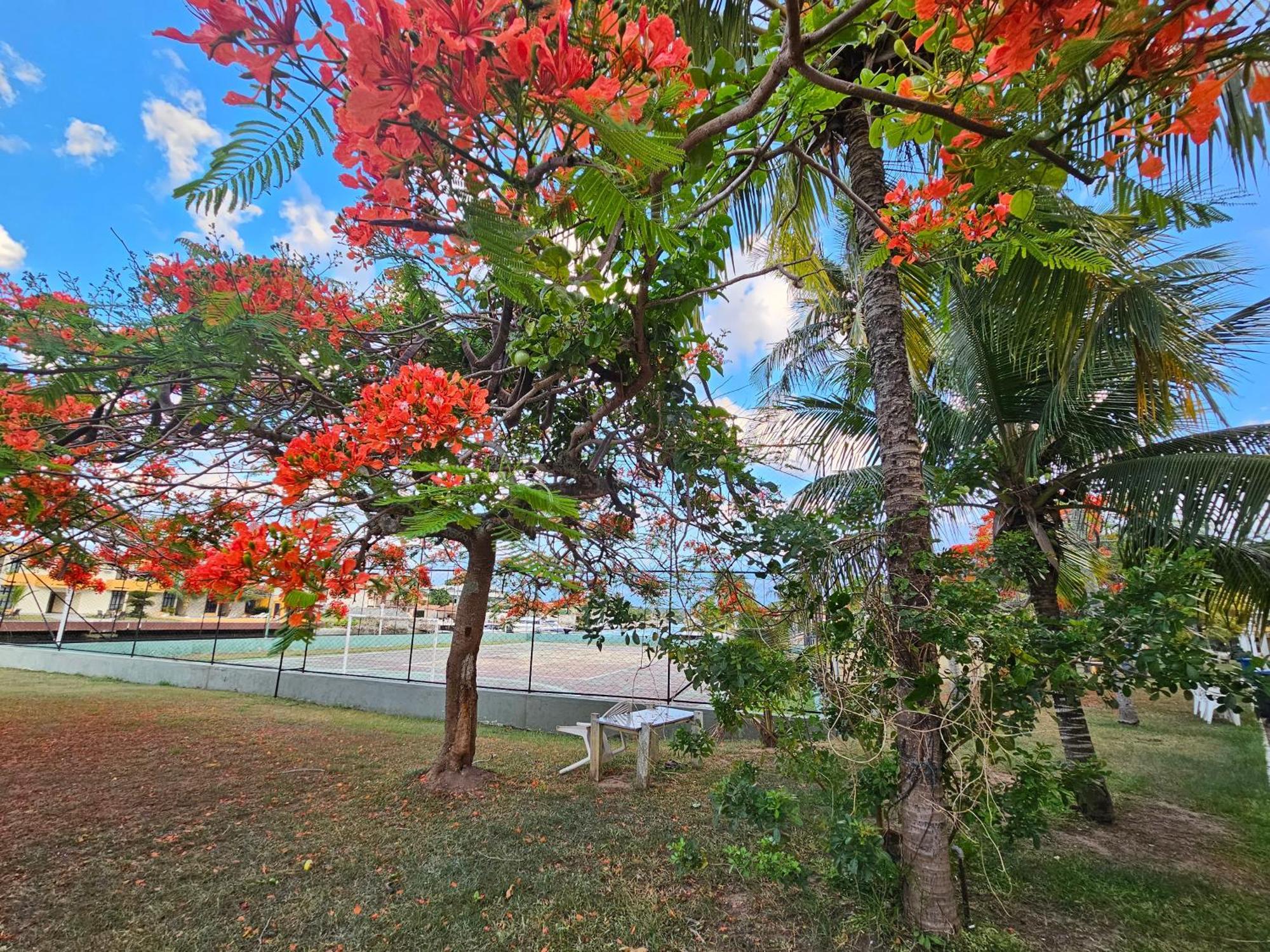 Condominio Cabo Frio Buitenkant foto